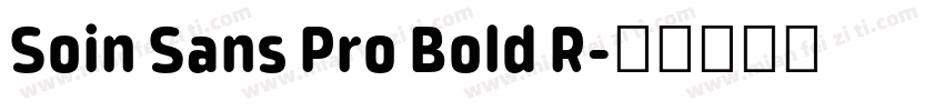 Soin Sans Pro Bold R字体转换